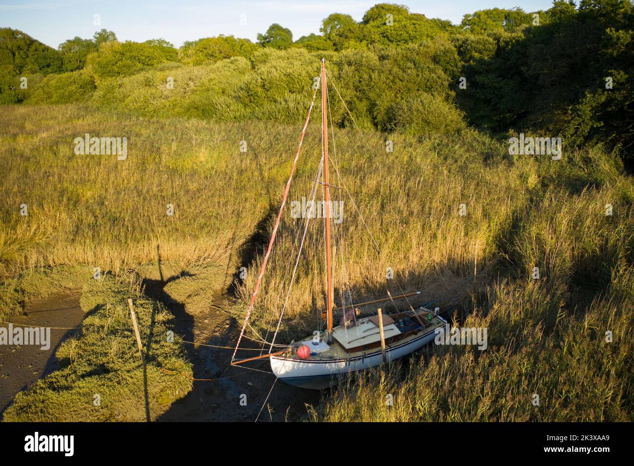 Eine Aufnahme eines Segelboots, das in einem von Vegetation umgebenen Schlamm-Bach am Flussufer festgebunden ist Stockfoto