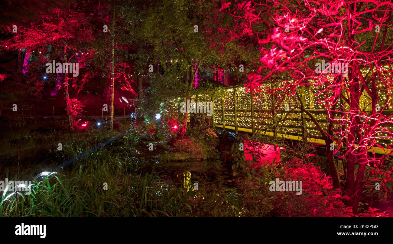 Pitlochry, Perth und Kinross, Schottland. 28. September 2022. Im Waldgebiet von Forestry & Land ist Schottlands Faskally Wood Schauplatz des Enchanted Forest 2022, der diesen Herbst mit seiner Jubiläumsschau zum 20.. Geburtstag nach Pitlochry zurückkehrt. Die 2002 gegründete Veranstaltung beginnt mit dem Thema „Together“, inspiriert von der hoffnungsvollen öffentlichen Stimmung der Zweisamkeit. Es wird gehofft, dass die Fantasie des Publikums mit schillernden Visuals und innovativem Design, choreografiert gegen eine Originalmusik, angezündet wird. Von Donnerstag, 29. September 2022, Bis Sonntag, 30. Oktober 2022. Kredit; Arch White/alamy Live Nachrichten Stockfoto