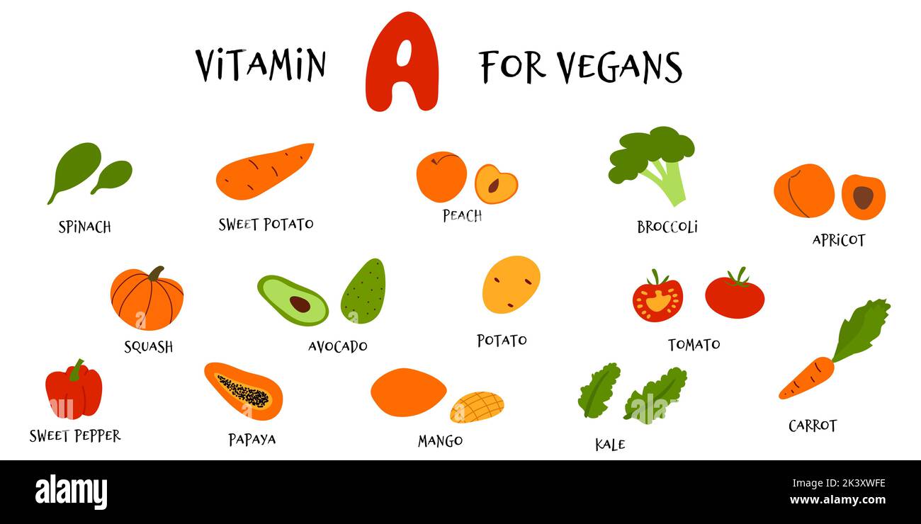 Sammlung von Vektor-Hand zeichnen Obst und Gemüse reich an Beta-Carotin. Infografik zu Nahrungsquellen von Vitamin A für Veganer im Cartoon-Flat-Stil Stock Vektor