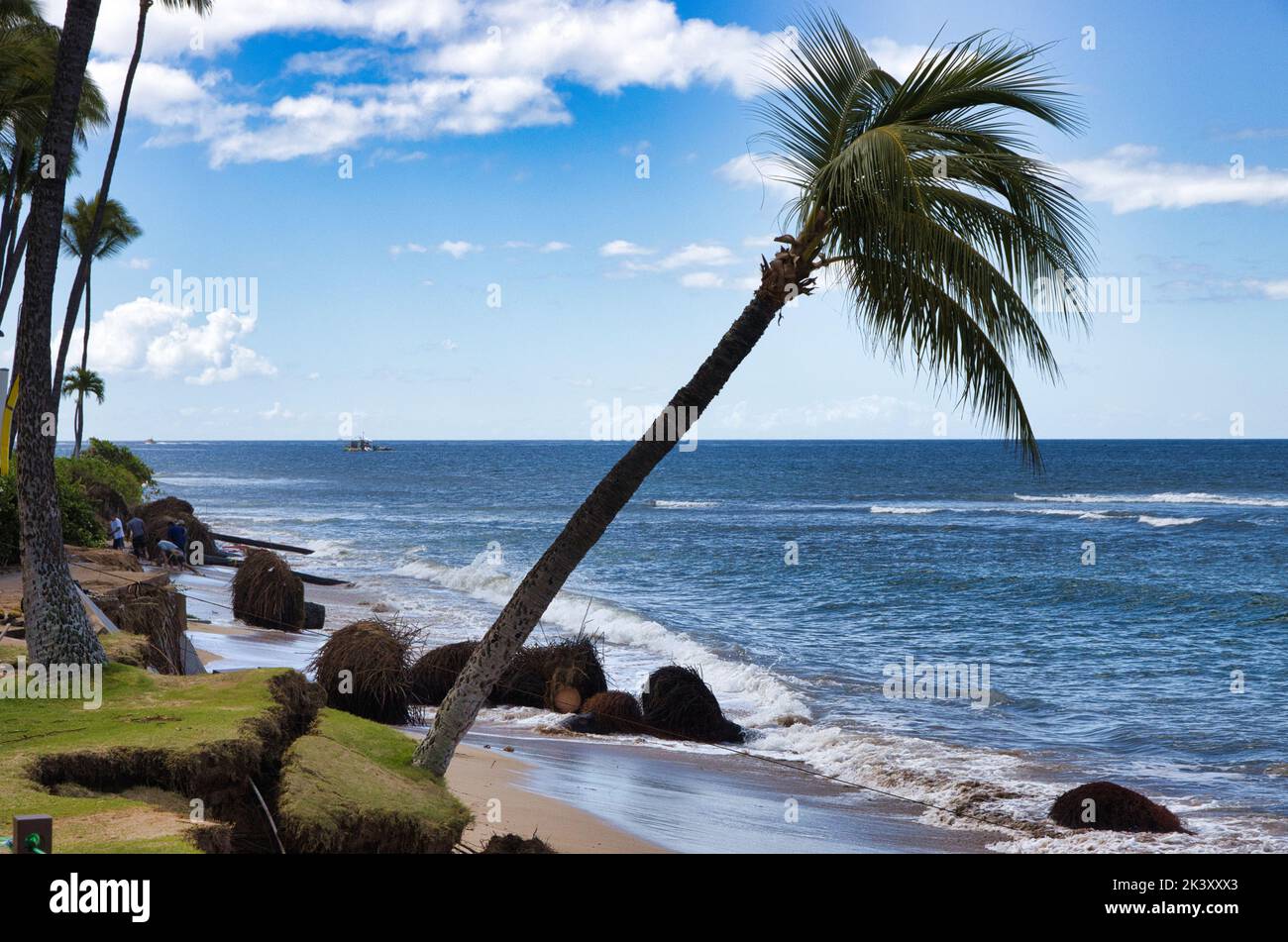 Dramatische Erosion der Küste aufgrund der globalen Erwärmung. Stockfoto