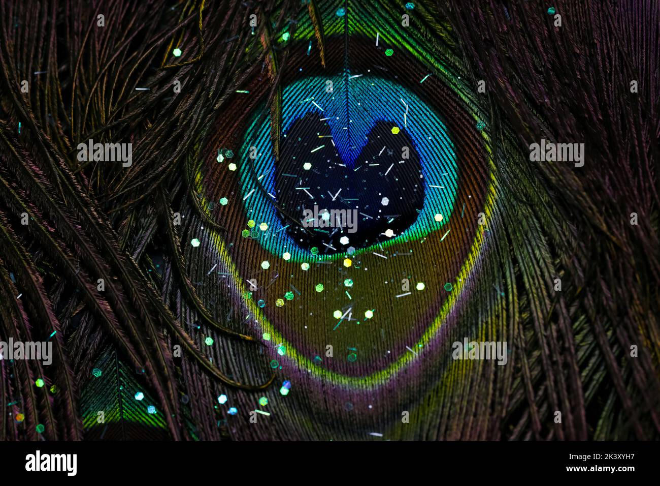 Schöne und bunte Pfau Vogel Feder Nahaufnahme abstraktes Muster Textur Design natürlichen Hintergrund Bild. Glitzerpartikel auf Vogelfeder. Stockfoto