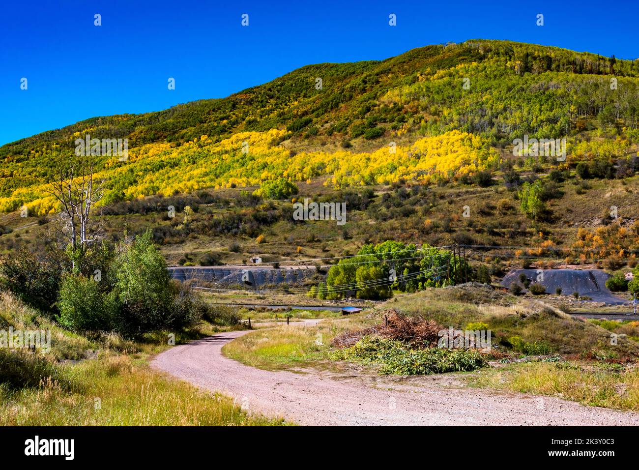 Colorado Herbstfarben mit gelben Espen außerhalb von Oakcreek Stockfoto