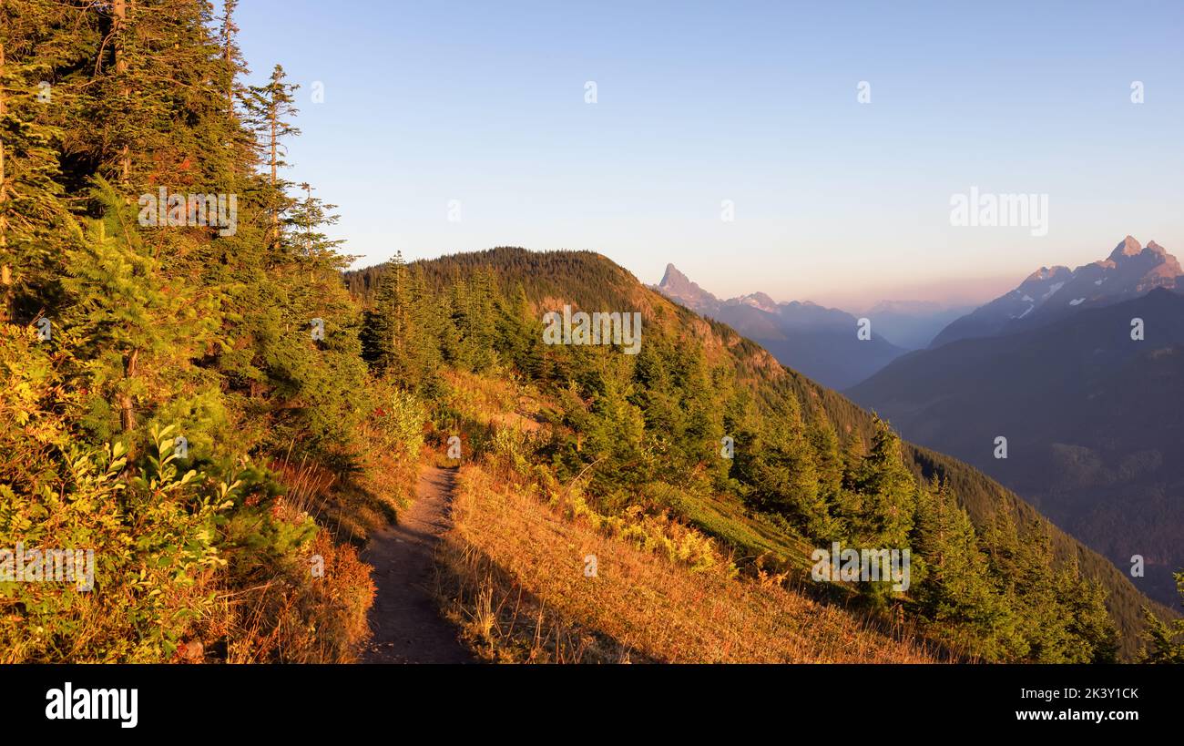 Kanadische Landschaft mit Herbstfarben bei sonnigem Sonnenuntergang. Elk Mountain Stockfoto