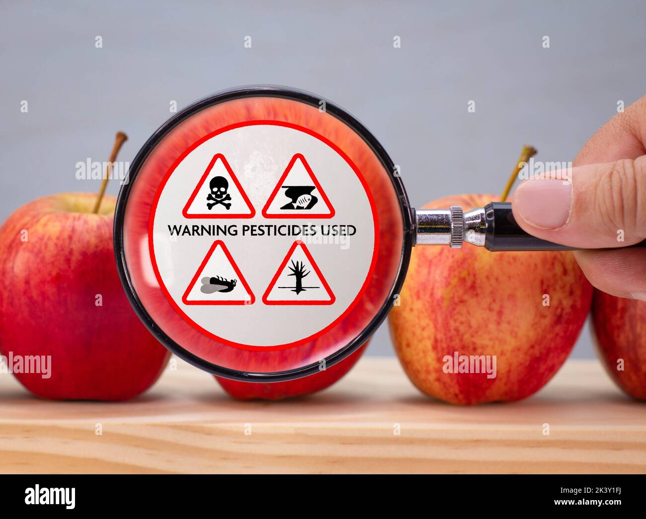 Vergrößertes Etikett auf dem Apfel, Warnung vor Umweltschäden, die durch den Einsatz von Pestiziden und Herbiziden in der industriellen landwirtschaftlichen Lebensmittelproduktion verursacht werden Stockfoto