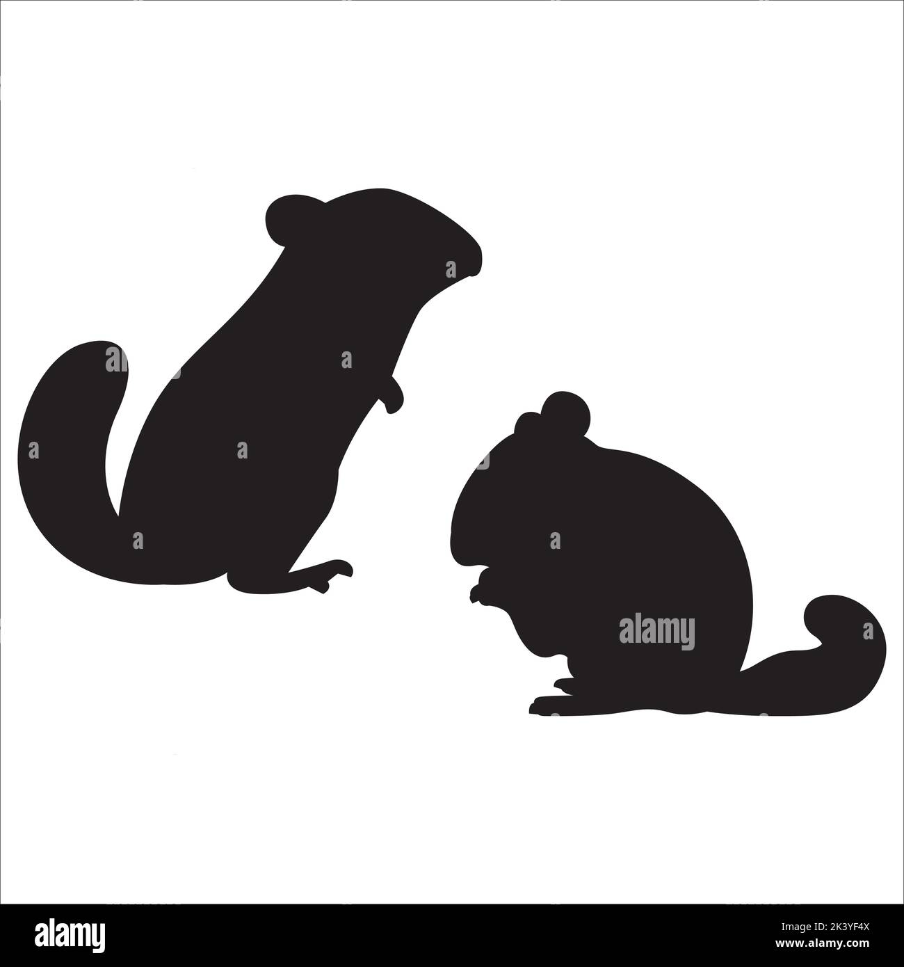 Vektor-Set Von Niedlichen Chinchilla Silhouetten Illustration Isoliert Auf Weißem Hintergrund Stock Vektor