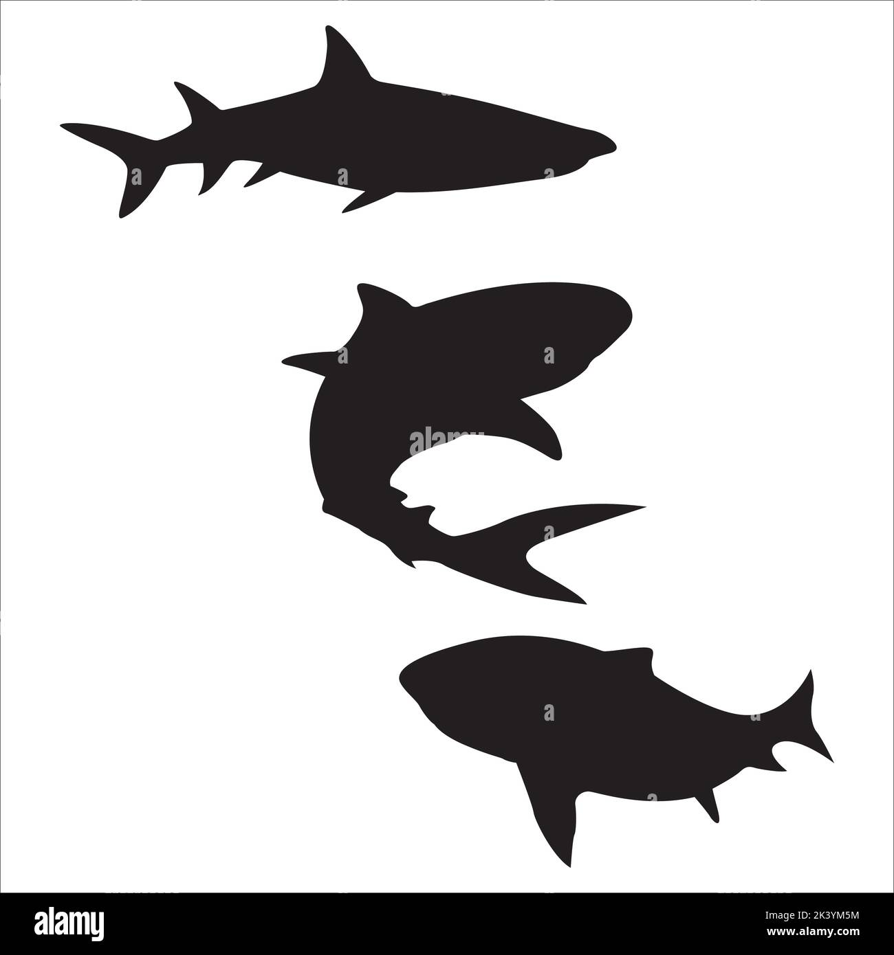 Vektor-Set Von Sharks Silhouetten Illustration Isoliert Auf Weißem Hintergrund Stock Vektor