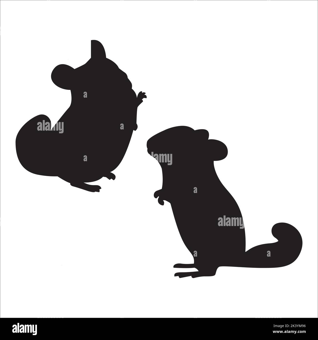 Vektor-Set Von Niedlichen Chinchilla Silhouetten Illustration Isoliert Auf Weißem Hintergrund Stock Vektor