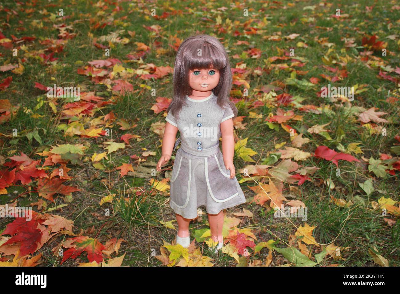 Indian Summer. Schöne Puppe Modell in einem Kleid aus Herbstblättern Stockfoto