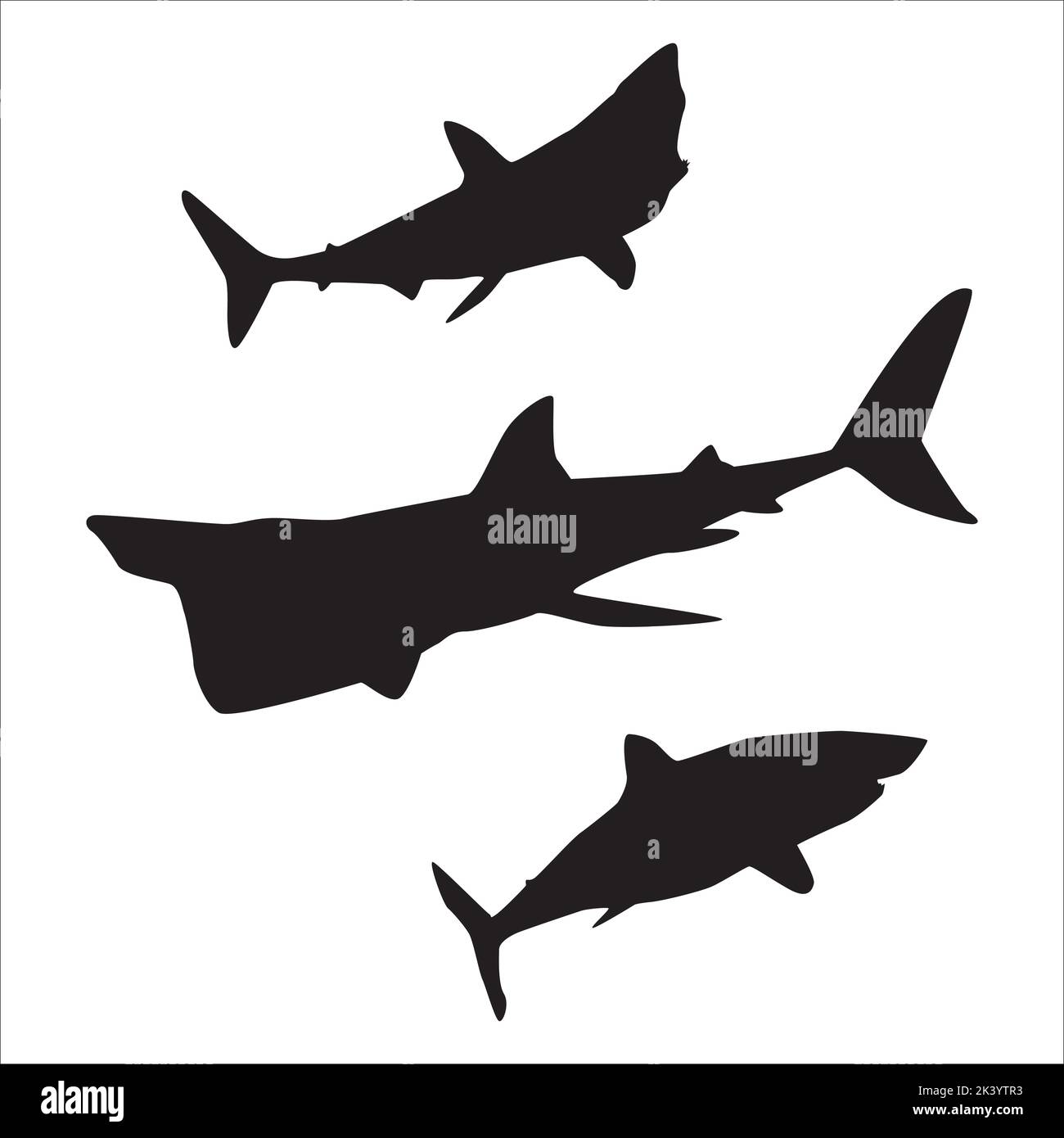 Vektor-Set Von Sharks Silhouetten Illustration Isoliert Auf Weißem Hintergrund Stock Vektor