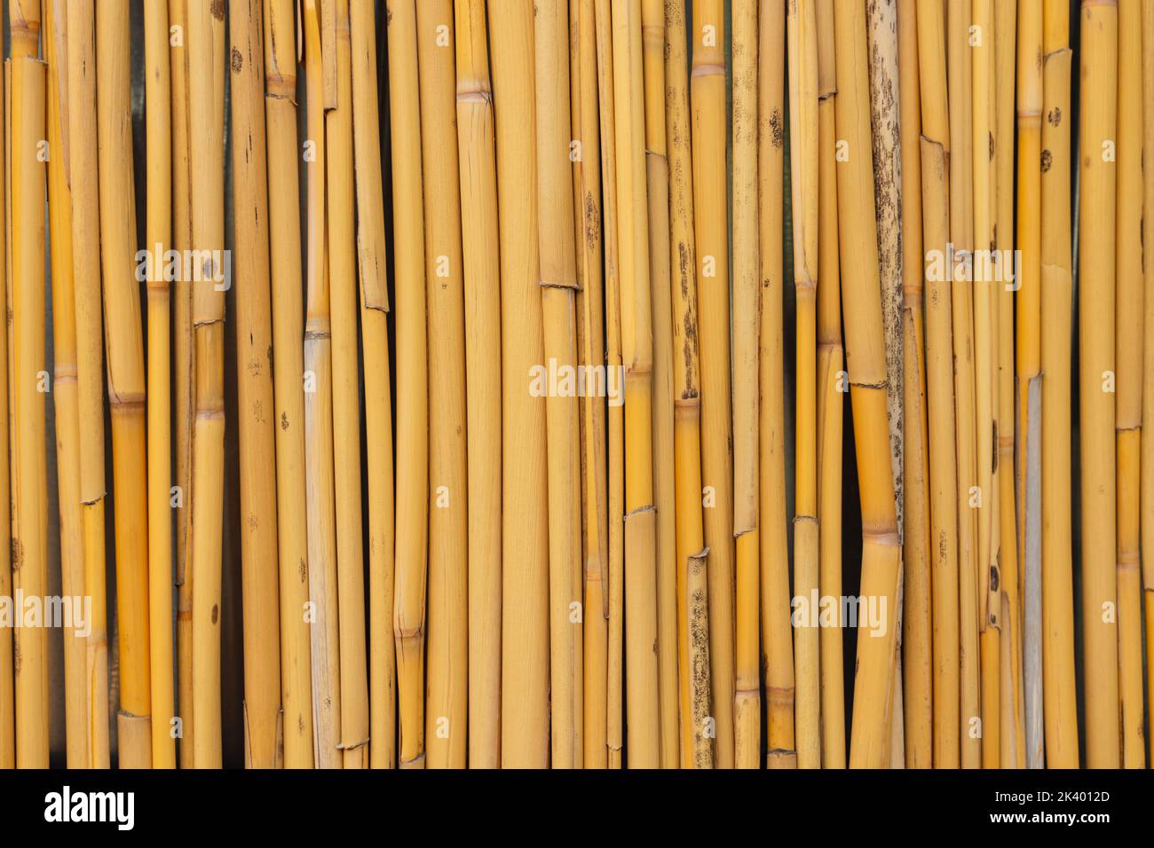 Bambusmuster. Vertikaler Bambuszaun Hintergrundbild. Stockfoto