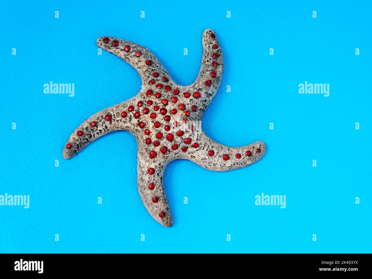 Nahaufnahme des rot gepunkteten aquatischen Organismus Stockfoto
