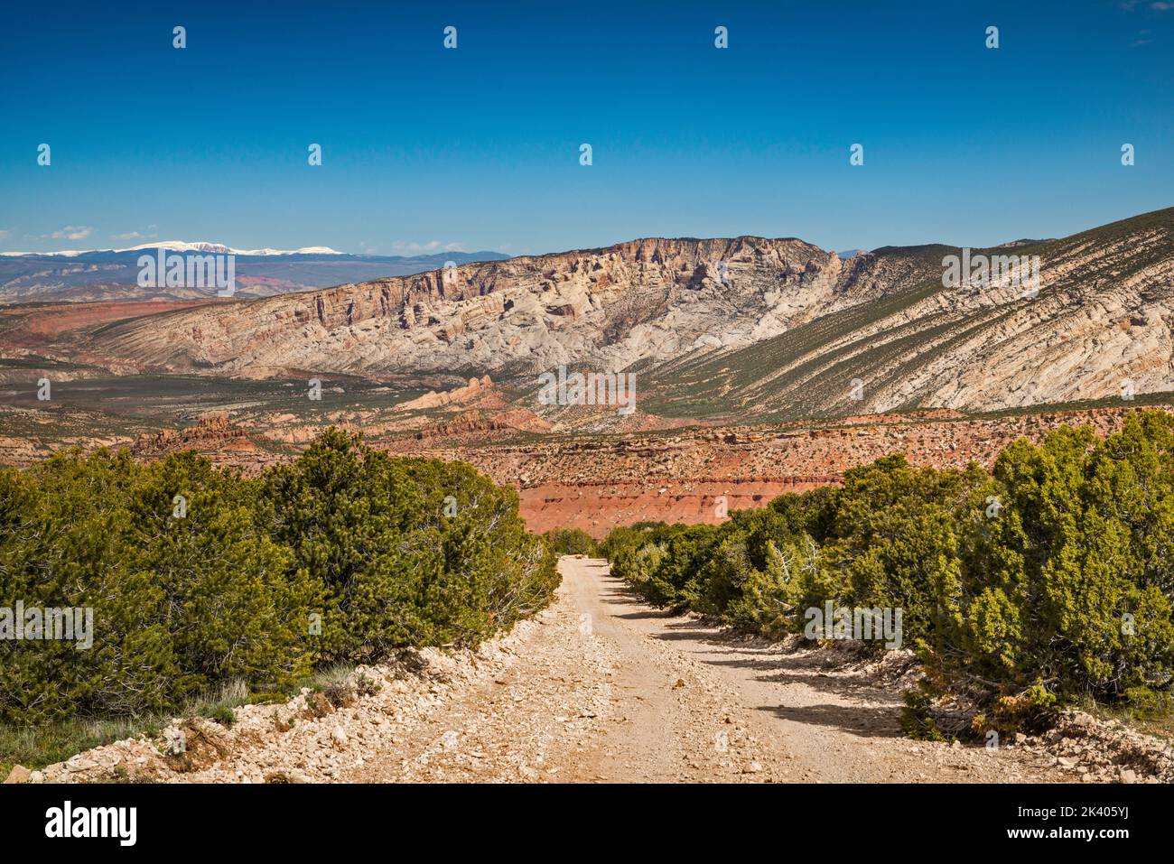 Yampa Plateau, Split Mountain Behind, Uinta Mountains in Far dist, Blick von der Blue Mountain Road unterhalb von Cliff Ridge, Dinosaur Natl Monument, Utah, USA Stockfoto