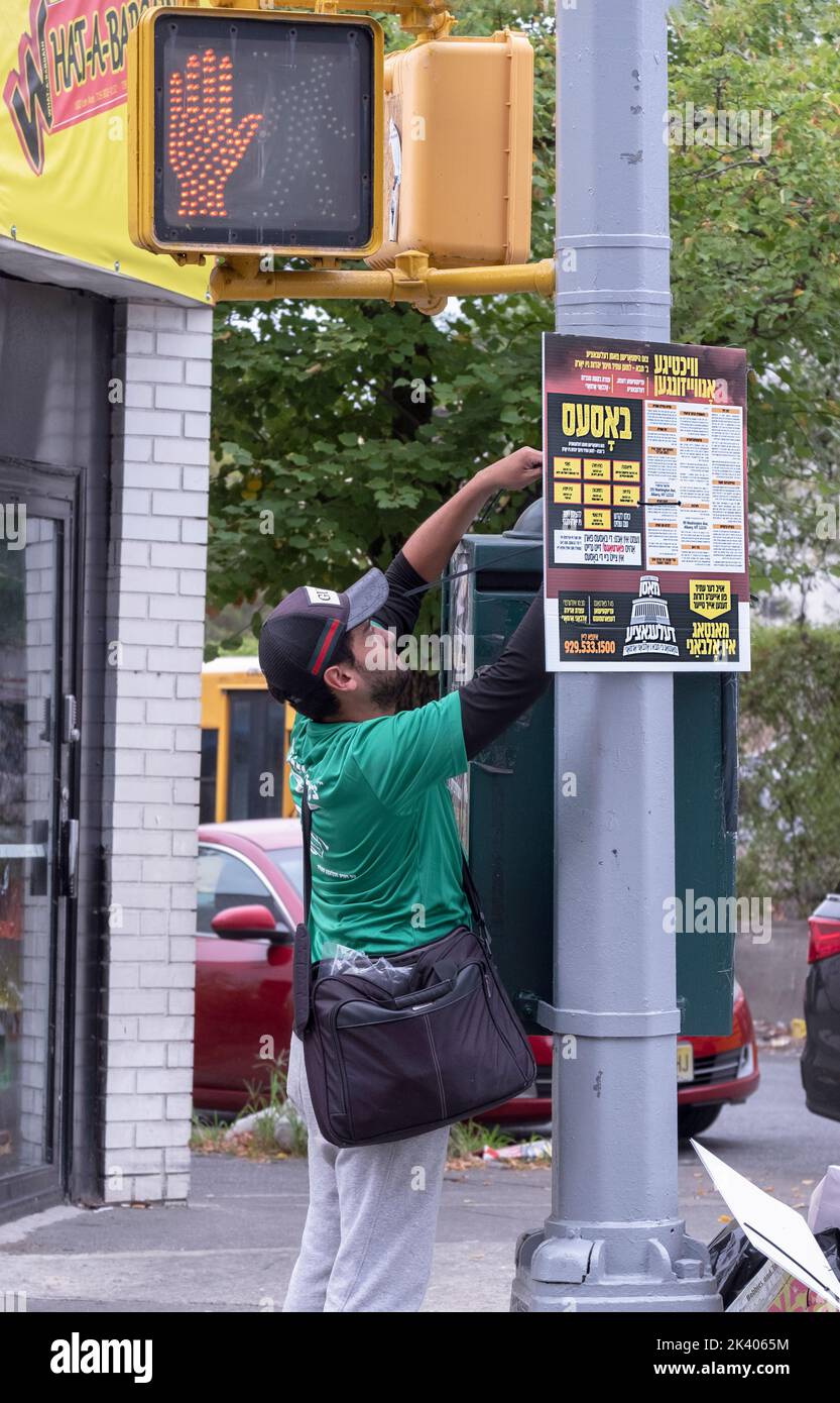 Ein Installierer für Schilder legt ein jiddisches Zeichen auf, das gegen staatliche Regeln zur säkularen Bildung protestiert. An der Lee Ave. In Williamsburg, Brooklyn, New York City. Stockfoto