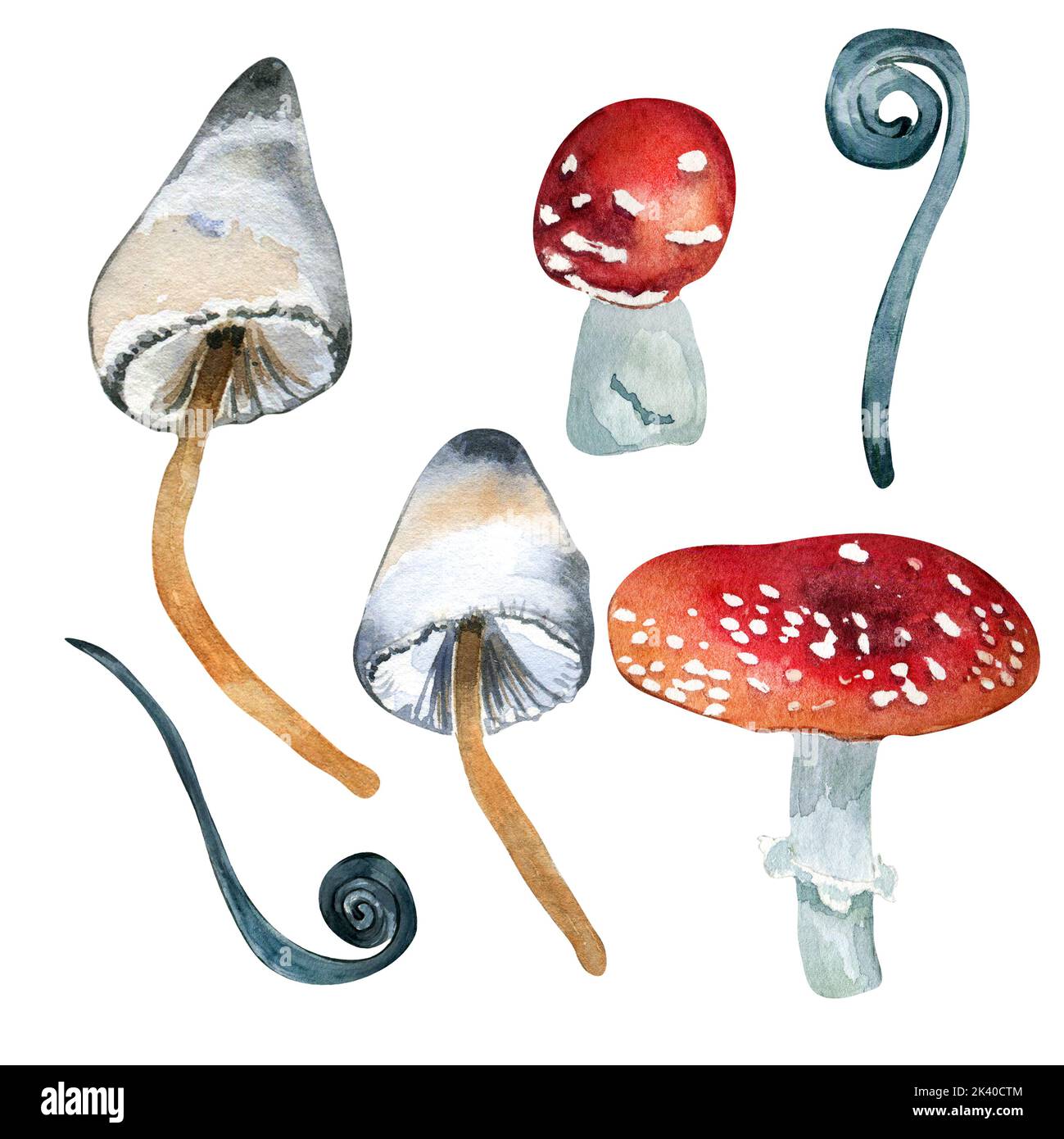 Satz von Toadstool und Fantasy-Pflanzen Aquarell Illustration isoliert auf weißem Hintergrund. Bunte Waldpflanzen, Fliege Agaric Pilz von Hand gezeichnet. Desi Stockfoto