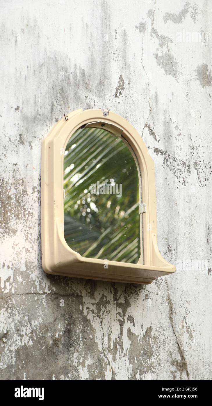 Spiegel mit einer Bildspiegelung des Naturgartens auf einer alten Wand mit Rissen Stockfoto