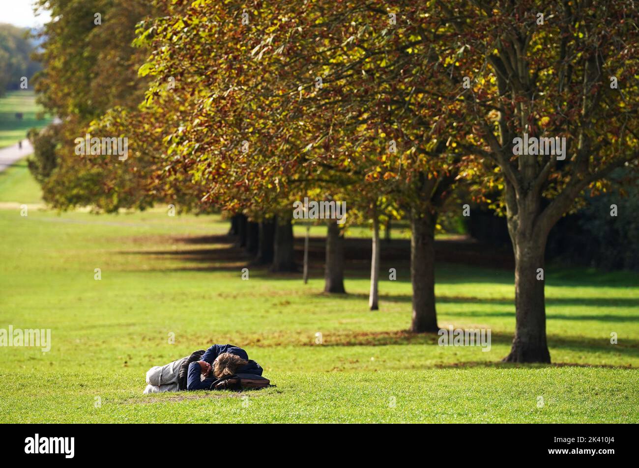 Ein Besucher des Windsor Great Park ruht auf dem Gras auf dem langen Spaziergang in der Nähe von Windsor Castle. Bilddatum: Donnerstag, 29. September 2022. Stockfoto