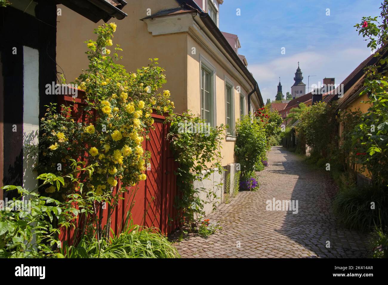 Visby Gotland Schweden Stockfoto