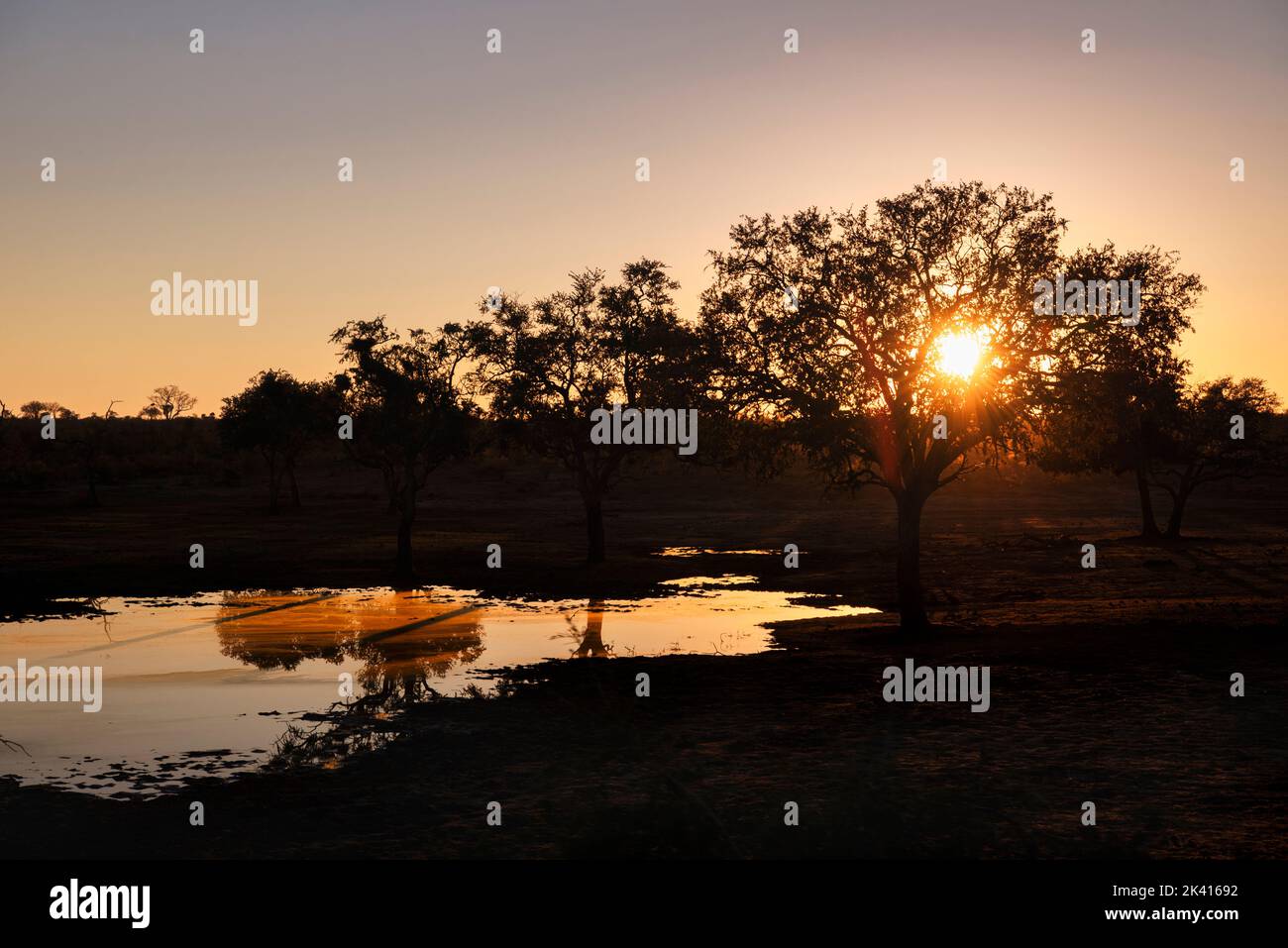 Sonnenaufgang auf der afrikanischen Savanne Stockfoto