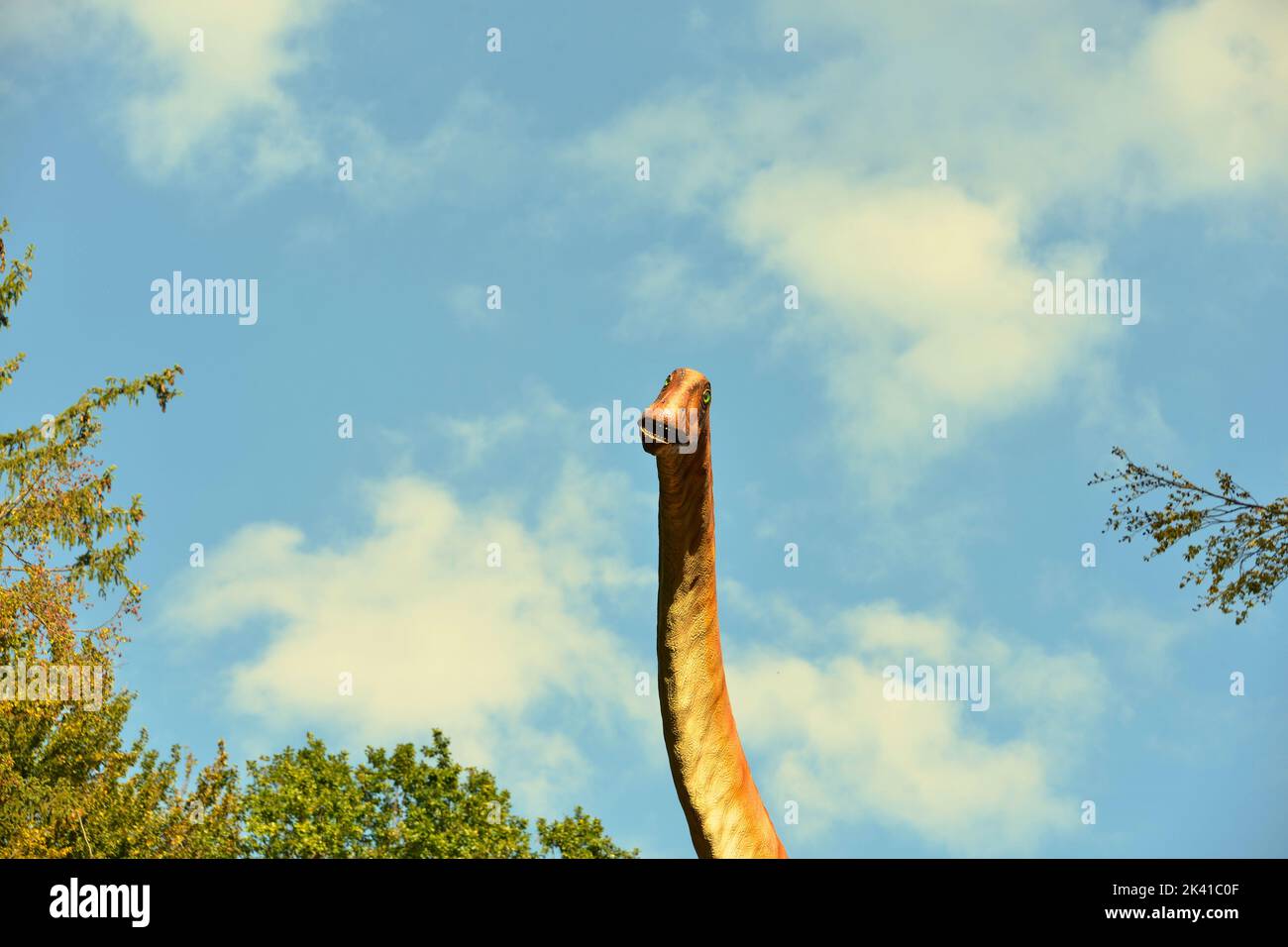 Pleurocoelus Dinosaurier gegen blauen Himmel Stockfoto