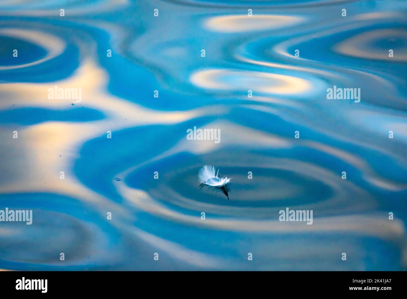 Weiße Feder schwimmt auf abstrakten Mustern auf der Wasseroberfläche (zart) Stockfoto