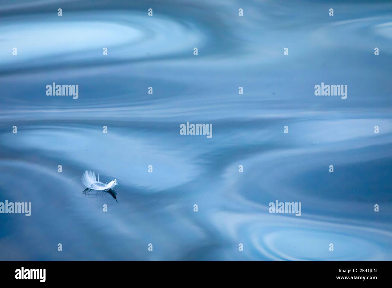 Weiße Feder schwimmt auf abstrakten Mustern auf der Wasseroberfläche (zart) Stockfoto