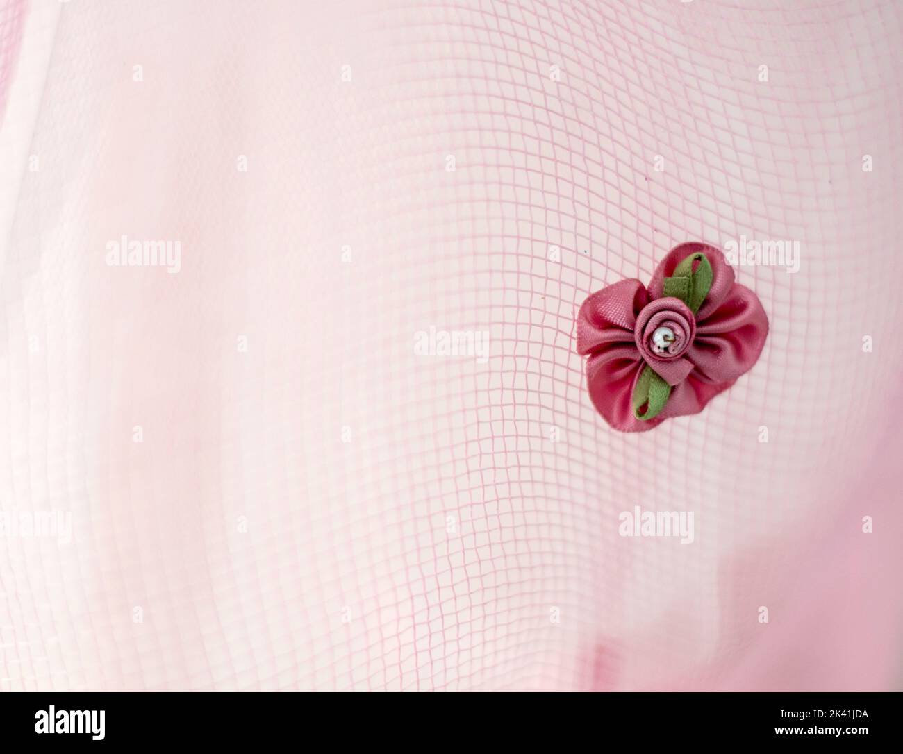 Rosafarbene Blume zur Dekotierung Stockfoto