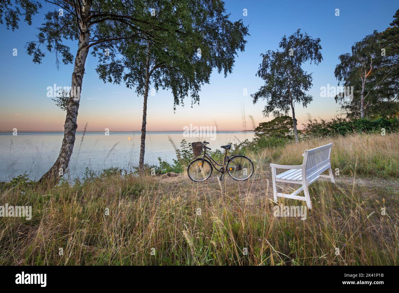 Weiße Holzbank und Fahrrad unter silbernen Birken mit Blick auf das Meer in der Abenddämmerung, Munkerup, Seeland, Dänemark, Europa Stockfoto