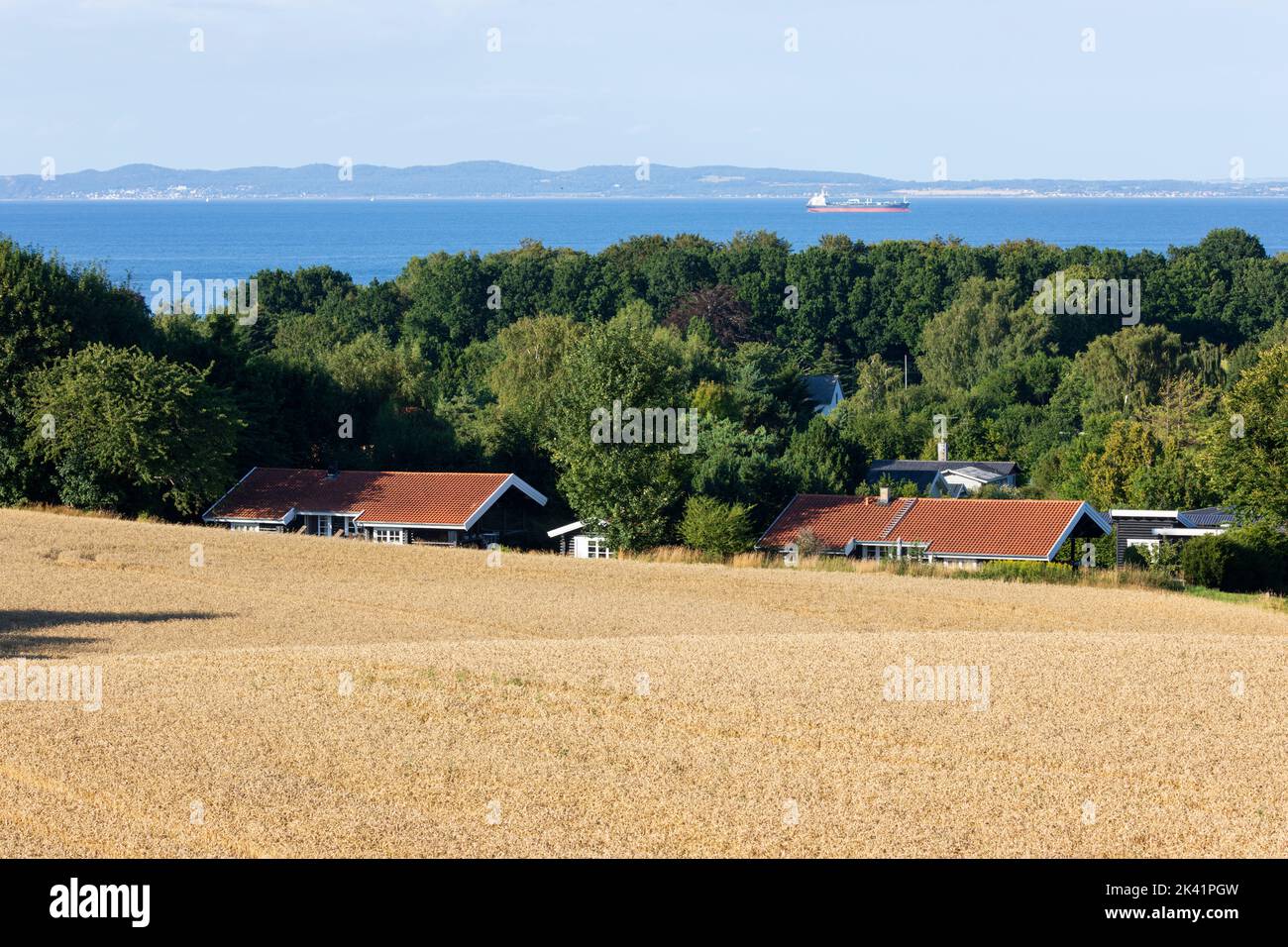 Blick über Weizenfeld und Sommerhäuser in Munkerup zur Küste Schwedens in der Ferne, Munkerup, Seeland, Dänemark Stockfoto