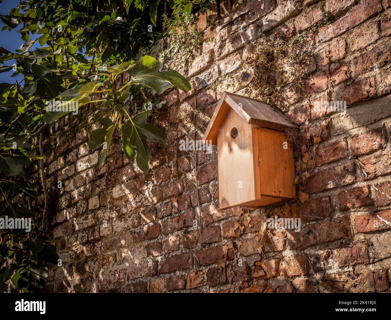 Hölzerne Vogelkiste auf einer alten Gartenwand montiert. Stockfoto