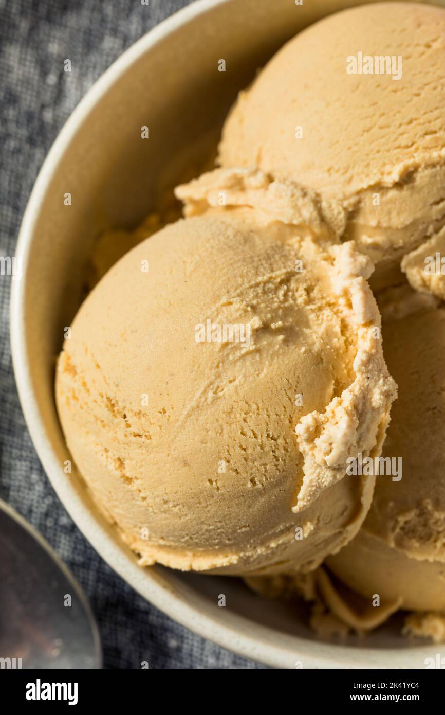 Hausgemachte Kürbis-Gewürz-Eiscreme in einer Schüssel Stockfoto
