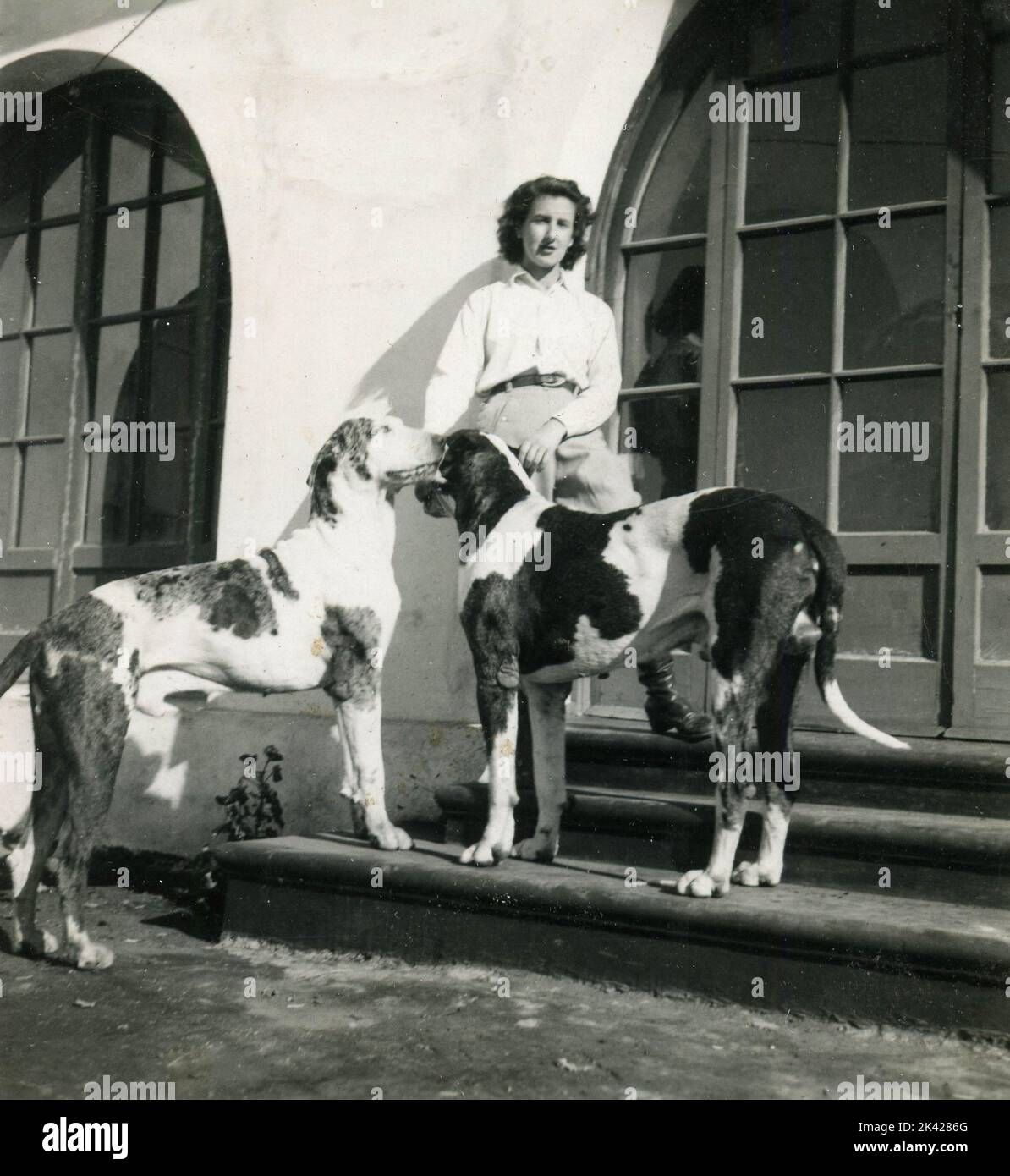 Frau mit zwei großen Doggen, Spanien 1950s Stockfoto