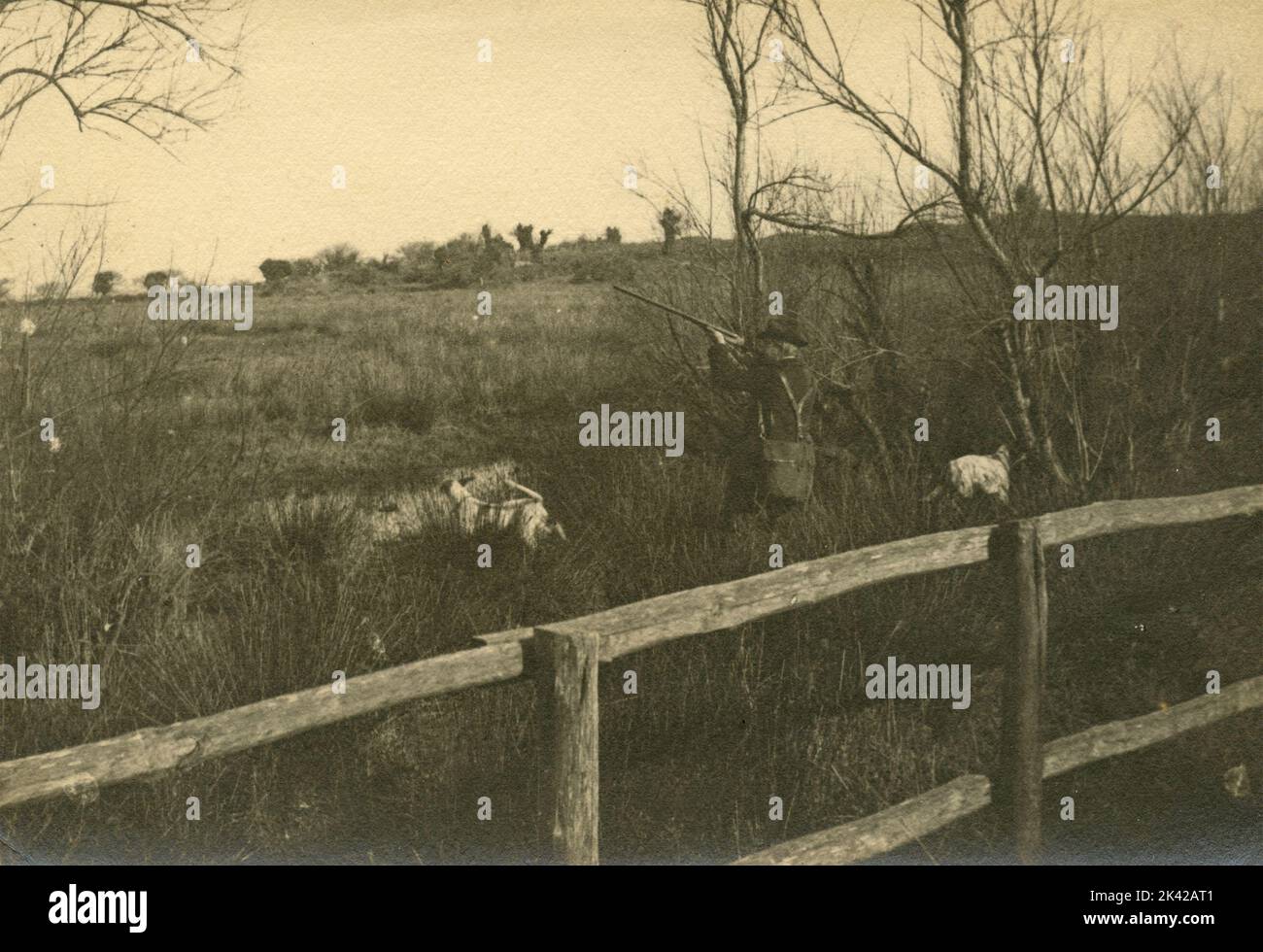 Jäger mit Hunden, die Vögel schießen, Italien 1920s Stockfoto