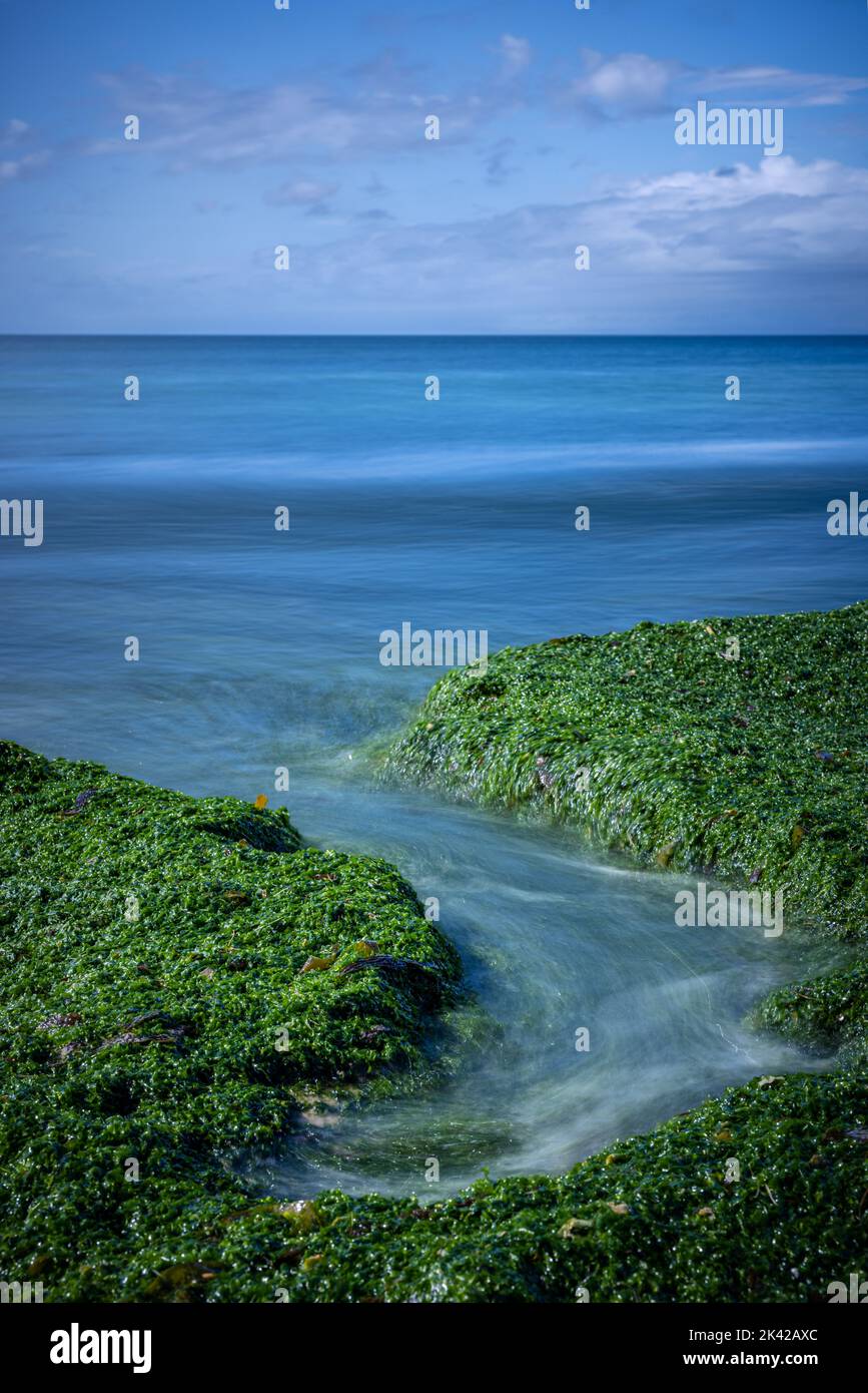 Ausgewaschene Algen am Strand, lange Exposition Stockfoto