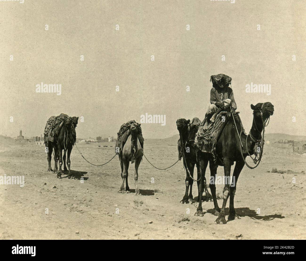 Karawane in der Wüste, Kairo, Ägypten 1904 Stockfoto