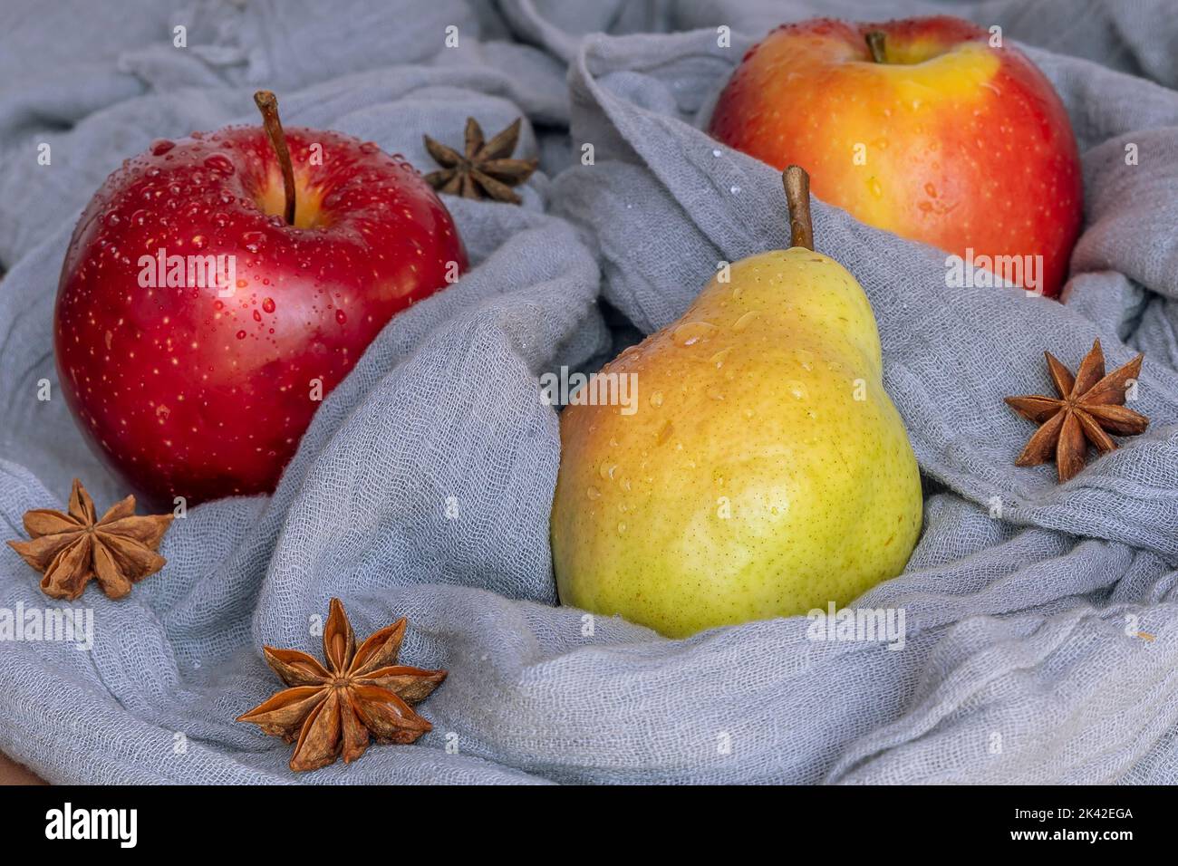 Eine Birne und zwei rote Äpfel, die mit Wassertropfen benetzt sind, sind in einen grauen Schal mit Sternanisgestein gewickelt Stockfoto
