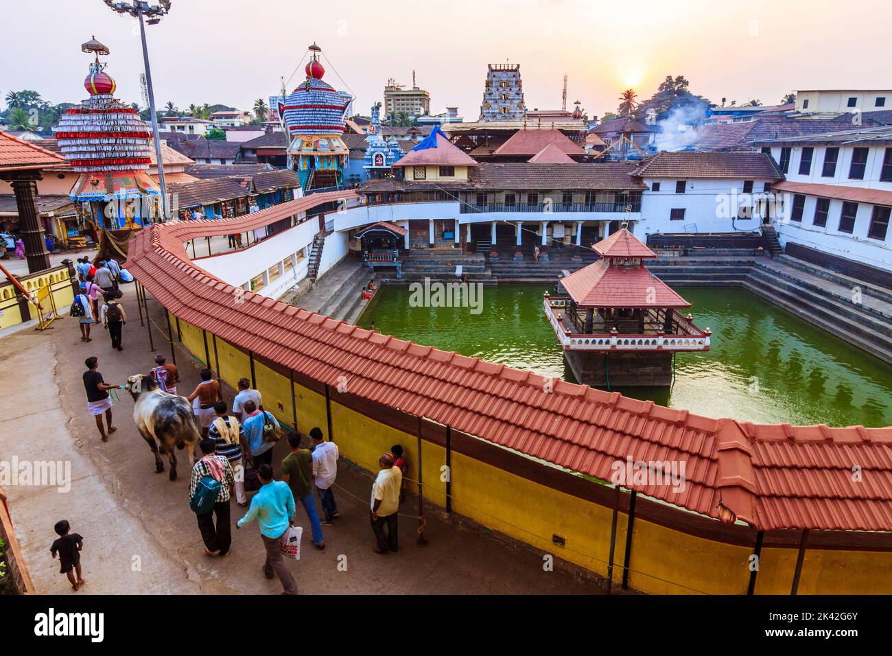 Udupi, Karnataka, Indien : Menschen gehen eine heilige Kuh bei Sonnenuntergang um den Madhva Sarovara Wasserbehälter neben dem 13. Jahrhundert Krishna Tempel gegründet b Stockfoto