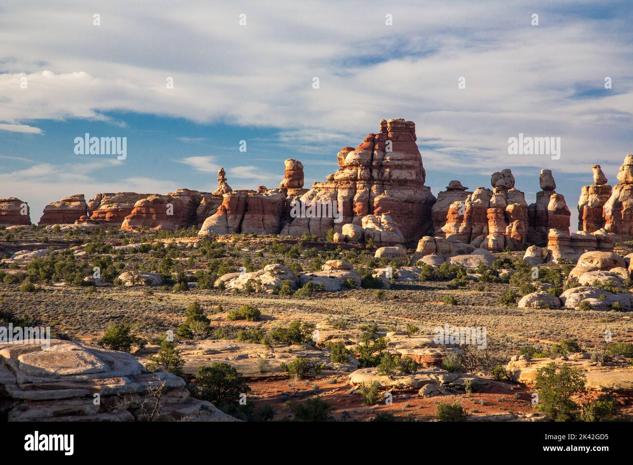 Gestreifte Cedar Mesa Sandsteinformationen im Doll House Bereich des Maze District von Canyonlands National Park, Utah. Stockfoto