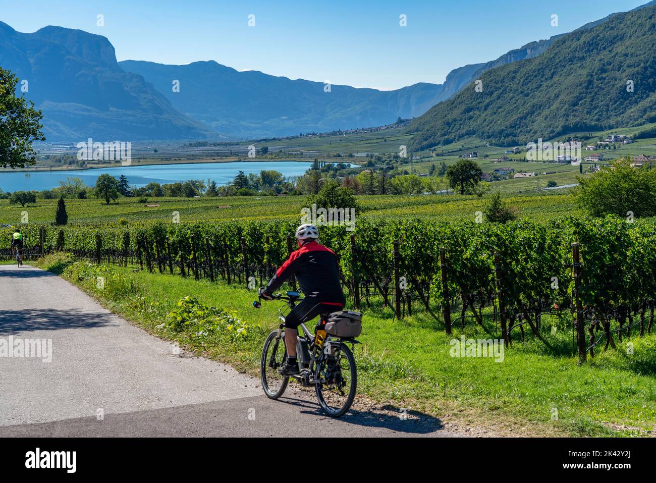Radweg durch die Weinanbaugebiete in Südtirol, bei Kaltern an der Weinstraße, kurz vor der Weinlese, Kalterer See, Südtirol, Stockfoto