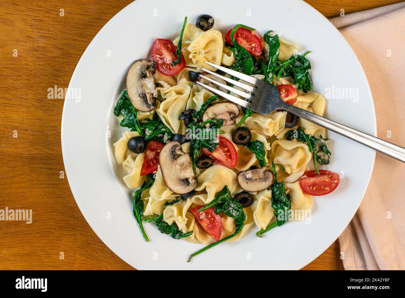 Tortellini-Salat bestehend aus Pilzen, Oliven Spinat und Tomaten, Stockfoto