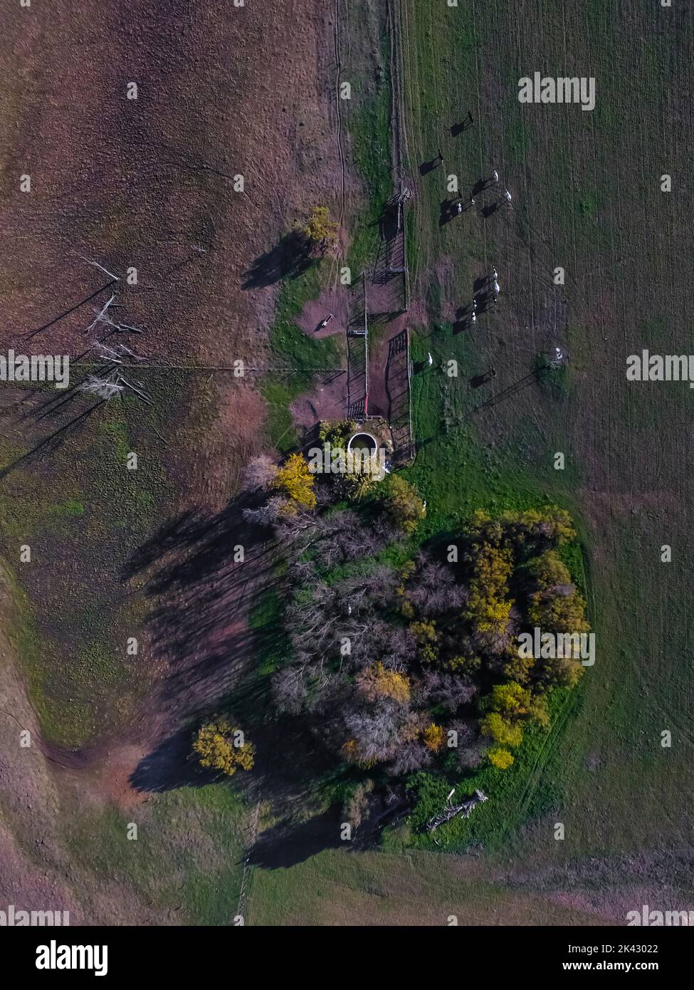 Luftaufnahme Landescape.La Pampa Argentinien Stockfoto