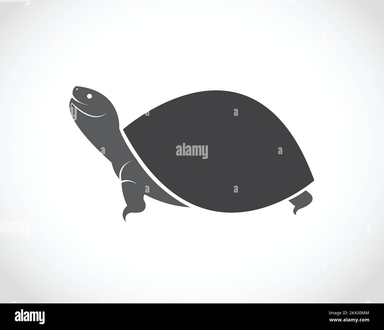 Vektorbild eines Schildkrötendesigns auf weißem Hintergrund. Leicht editierbare Vektorgrafik mit Ebenen. Wilde Tiere. Stock Vektor