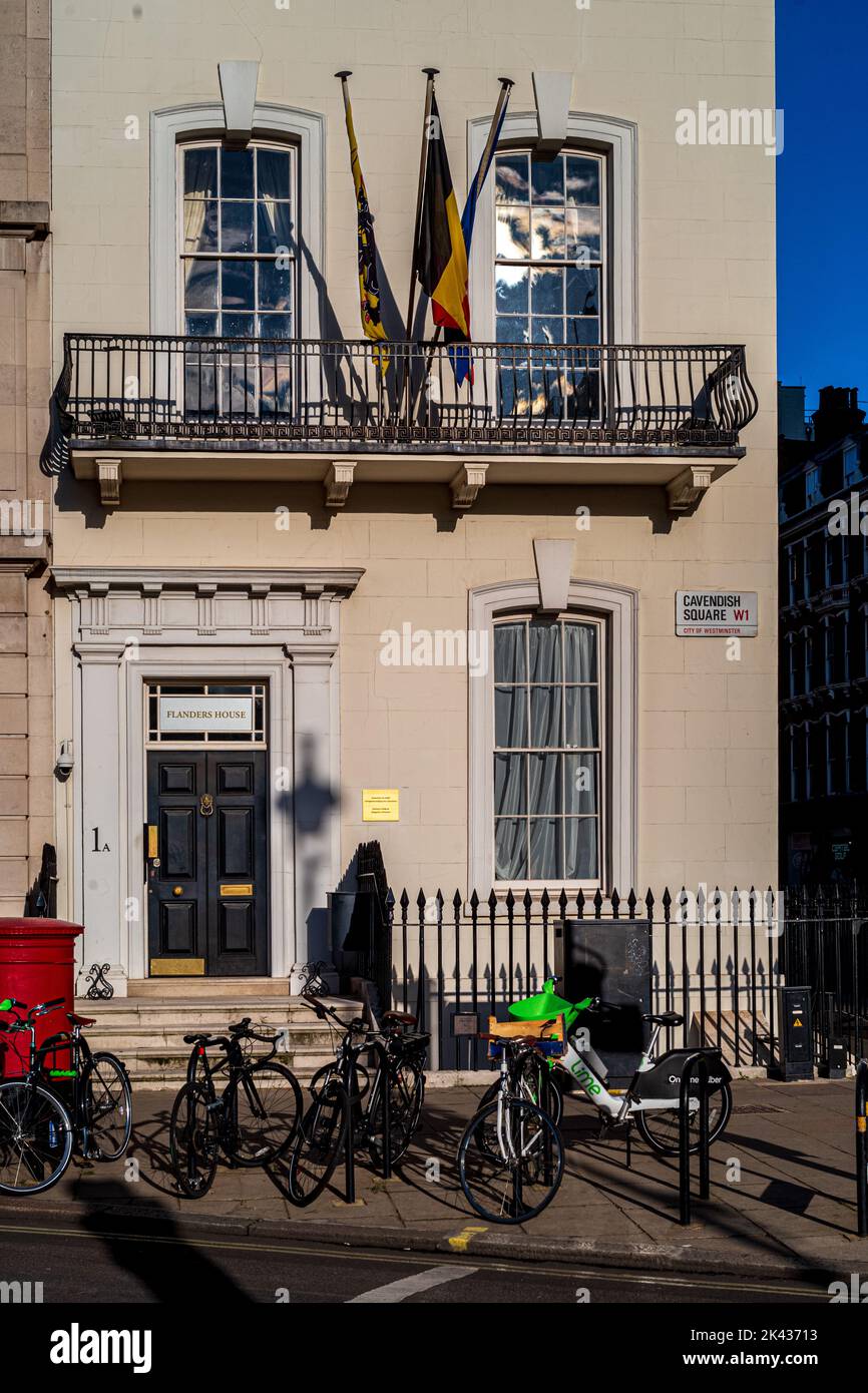 Die Generalvertretung der flämischen Regierung, Flanders House, Cavendish Square, London. Diplomatische Vertretung von Flandern, Belgische Botschaft Stockfoto