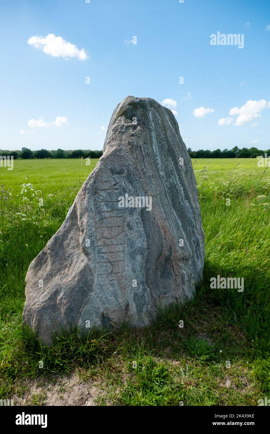 Berühmter Hærulf Runenstein aus dem 9.. Jahrhundert in Dänemark Stockfoto