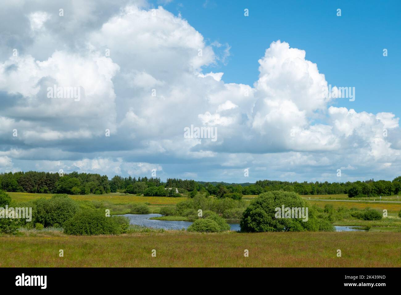 Ländliche Landschaft im Norden Dänemarks Stockfoto