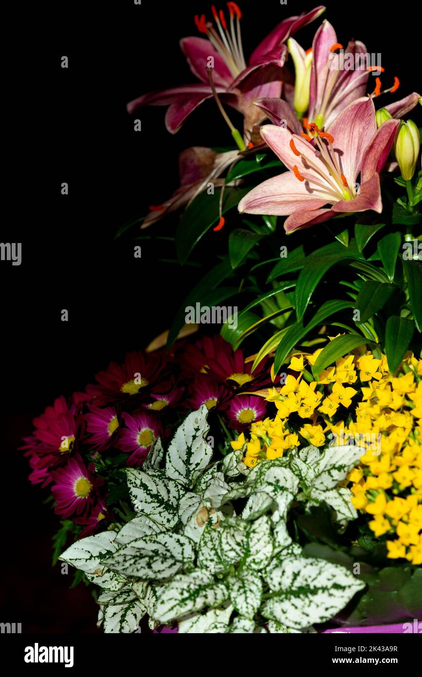 Lilie und andere Blume - Naturmorte Stockfoto