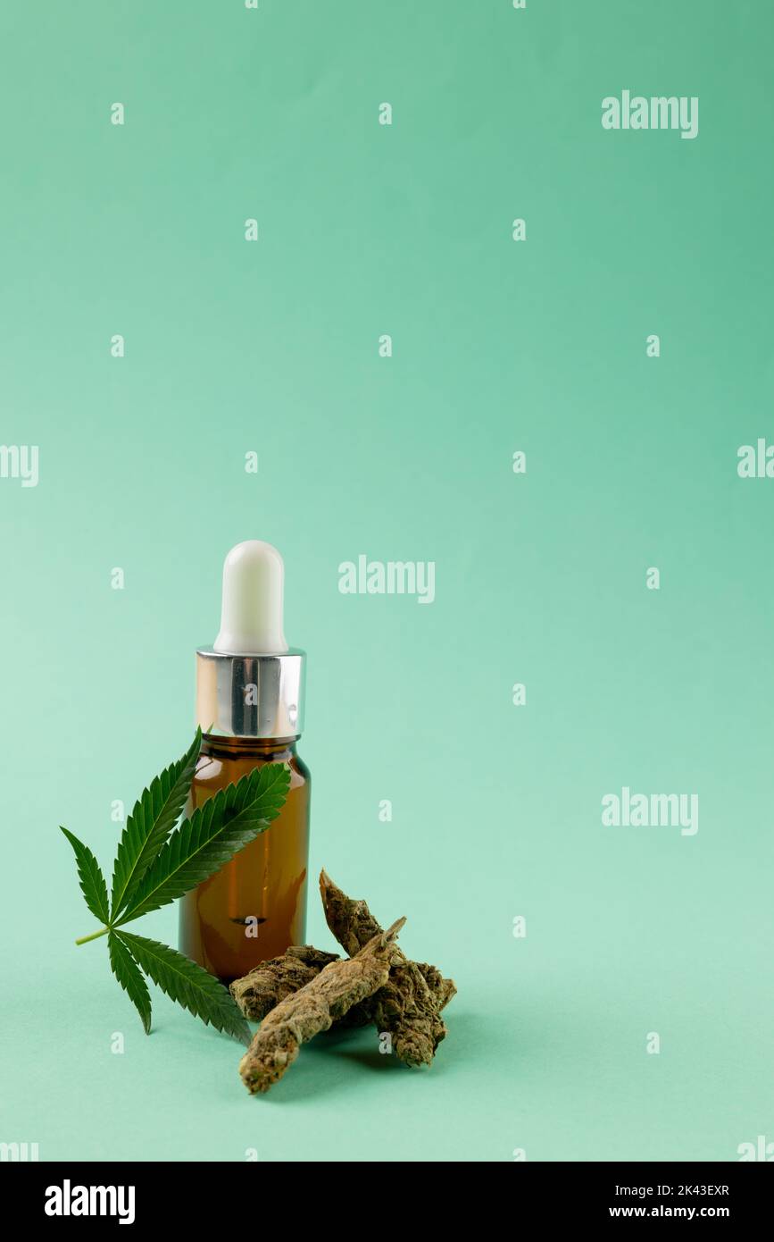Vertikale Abbildung einer Flasche CBD-Öl und getrockneten Marihuana-Blättern auf grüner Oberfläche Stockfoto