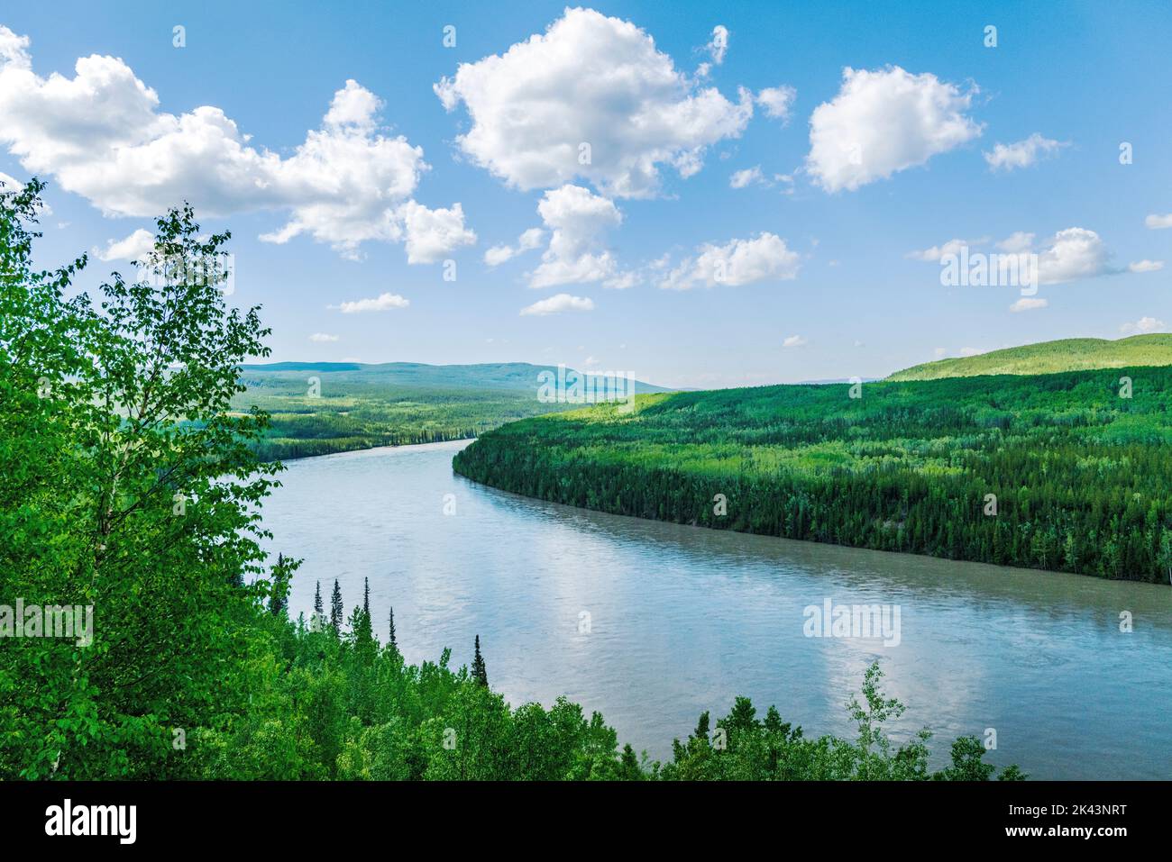 Liard River in der Nähe von Fireside; Alaska Highway; British Columbia; Kanada Stockfoto