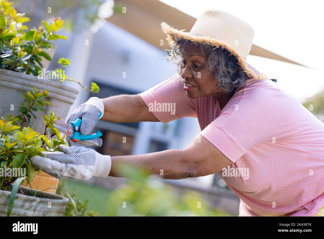 Ältere afroamerikanische Frau mit Hut und Arbeit im Garten Stockfoto