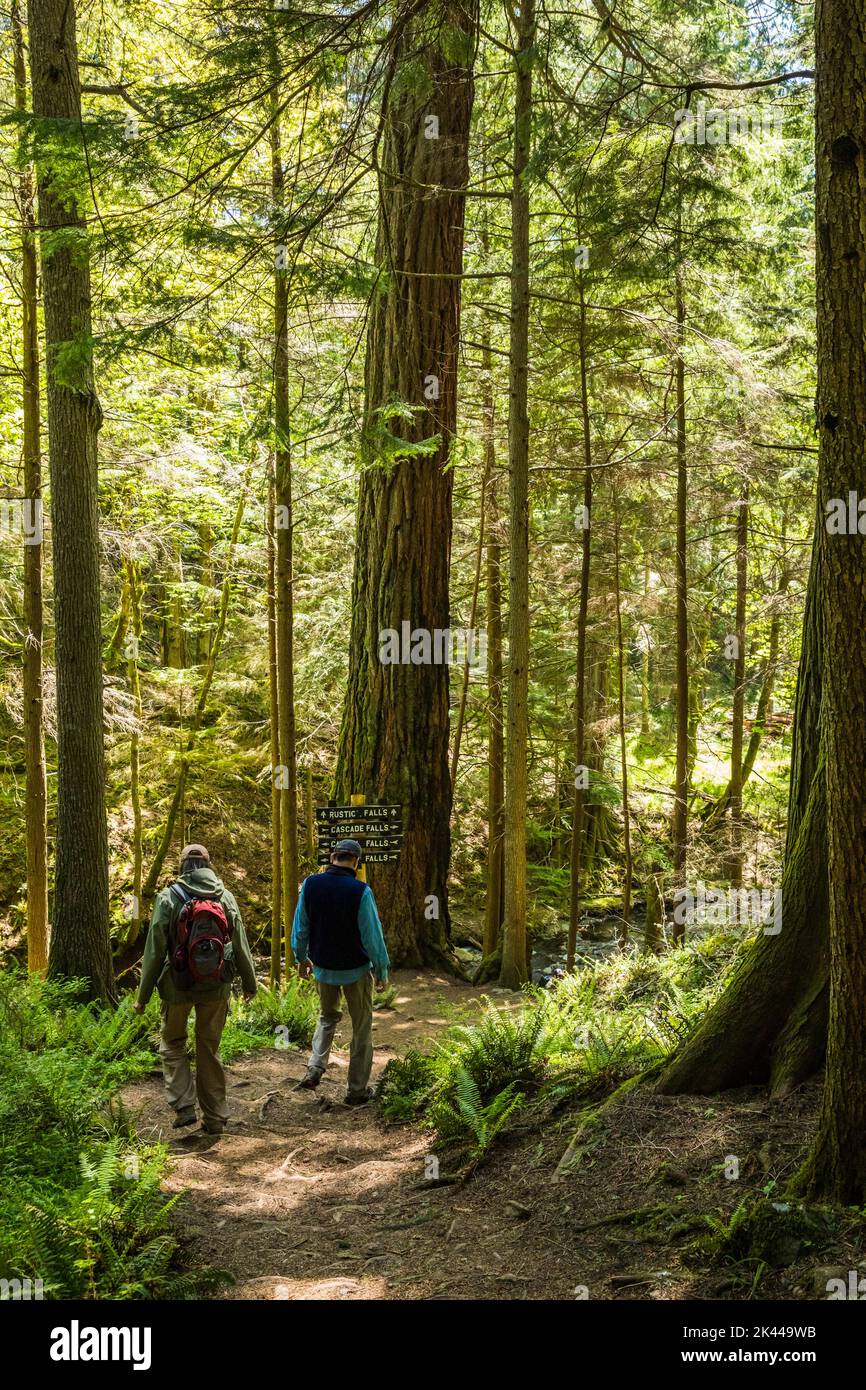 Ein Mann und eine Frau wandern im Moran State Park. Stockfoto