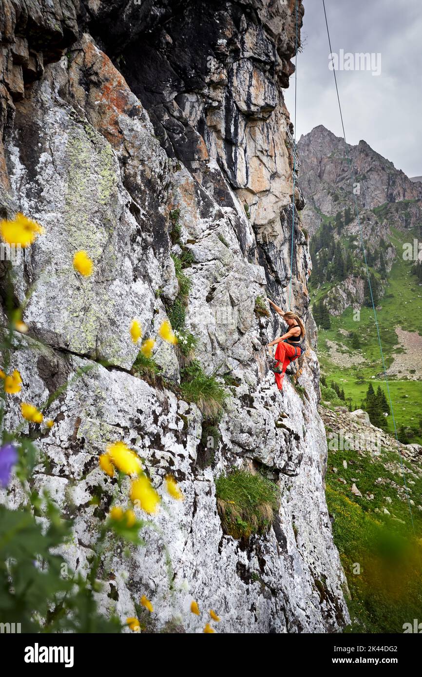 Fit starke Frau in rotem Kostüm Klettern auf dem hohen vertikalen Felsen an den Bergen Tyan Shan in Kasachstan Stockfoto